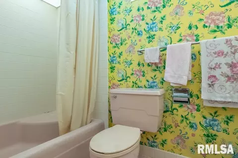 75 Hemlock Ter, Canton, IL 61520 photo 54