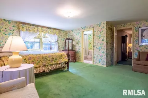 75 Hemlock Ter, Canton, IL 61520 photo 49