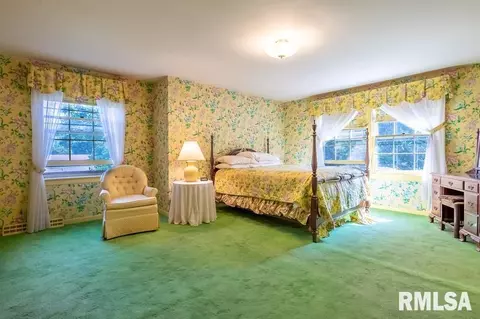 75 Hemlock Ter, Canton, IL 61520 photo 48