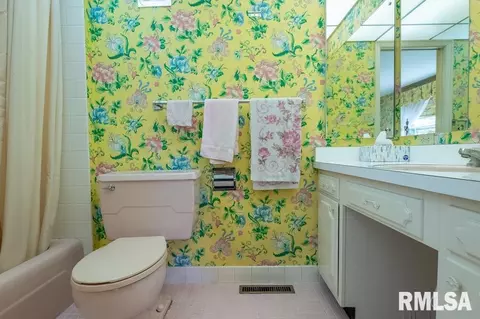 75 Hemlock Ter, Canton, IL 61520 photo 53