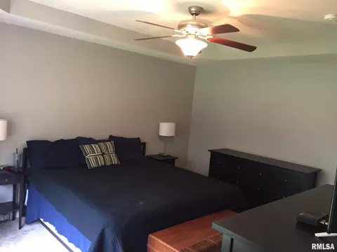 5904 W Brookmere St, Edwards, IL 61528 photo 9