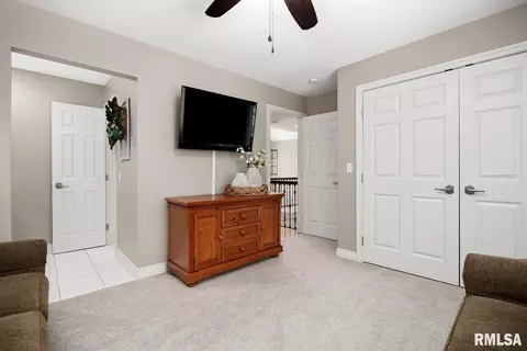 70 Diamond Pt, Morton, IL 61550 photo 43