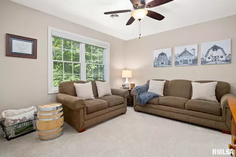 70 Diamond Pt, Morton, IL 61550 photo 42