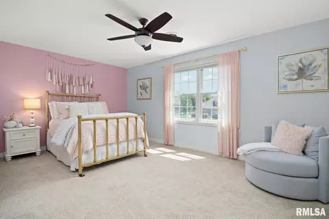 70 Diamond Pt, Morton, IL 61550 photo 39
