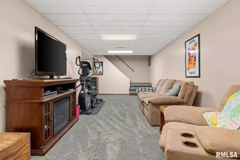 1502 County Road 875 E, Metamora, IL 61548 photo 39