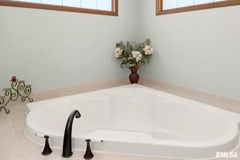 1502 County Road 875 E, Metamora, IL 61548 photo 30