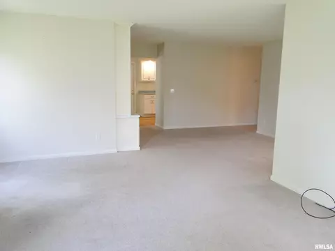 236 Scotch Pine Dr, Macomb, IL 61455 photo 6