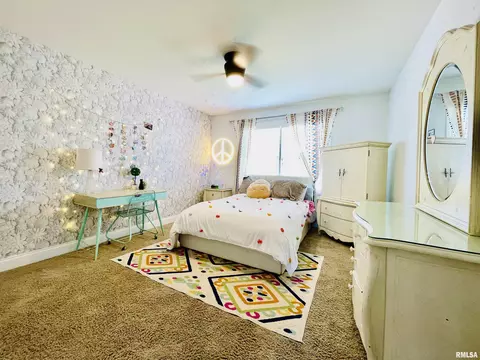 6513 W Hazel Nut Dr, Edwards, IL 61528 photo 30