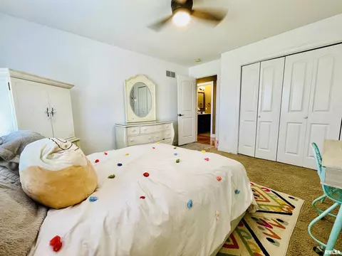 6513 W Hazel Nut Dr, Edwards, IL 61528 photo 32