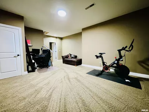 6513 W Hazel Nut Dr, Edwards, IL 61528 photo 42