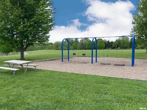 6513 W Hazel Nut Dr, Edwards, IL 61528 photo 70
