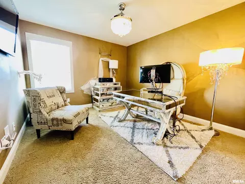 6513 W Hazel Nut Dr, Edwards, IL 61528 photo 39