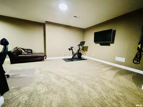 6513 W Hazel Nut Dr, Edwards, IL 61528 photo 44