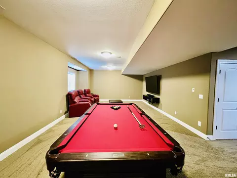 6513 W Hazel Nut Dr, Edwards, IL 61528 photo 47