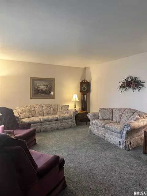 203 Pine Cir, Eureka, IL 61530 photo 4