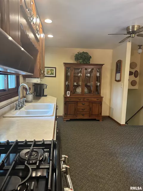 203 Pine Cir, Eureka, IL 61530 photo 9
