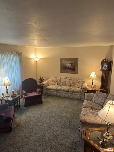203 Pine Cir, Eureka, IL 61530 photo 5