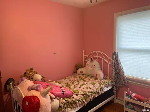 5 N 13th Ave, Canton, IL 61520 photo 16