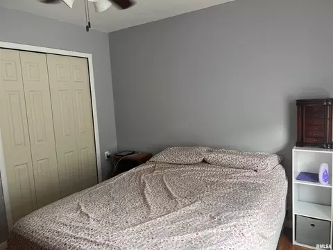 5 N 13th Ave, Canton, IL 61520 photo 12