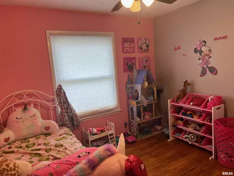 5 N 13th Ave, Canton, IL 61520 photo 15