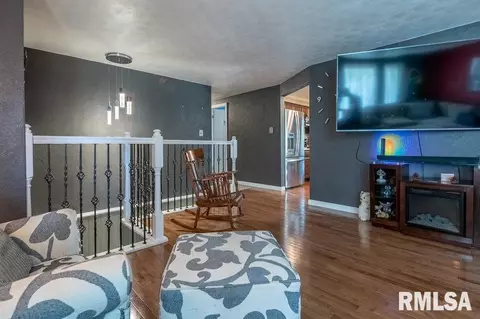 4702 S Canterbury Ct, Mapleton, IL 61547 photo 18