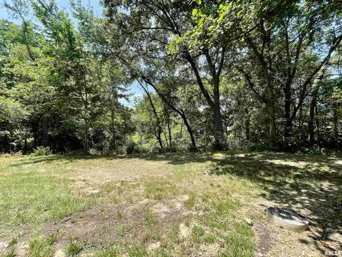 4703 S Canterbury Ct, Mapleton, IL 61547 photo 39