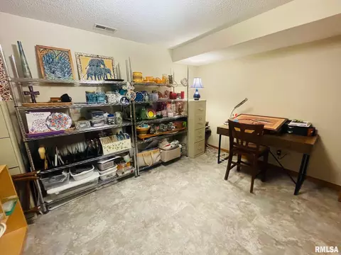 1413 Stacy Ln, Macomb, IL 61455 photo 35