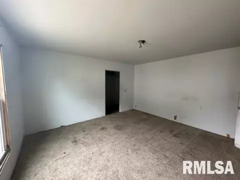 368 State Route 40 Hwy, Edelstein, IL 61526 photo 8