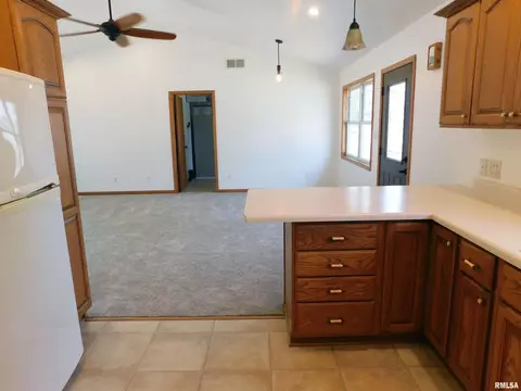 803 E 3rd St, Glasford, IL 61533 photo 17