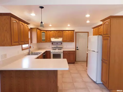 803 E 3rd St, Glasford, IL 61533 photo 11
