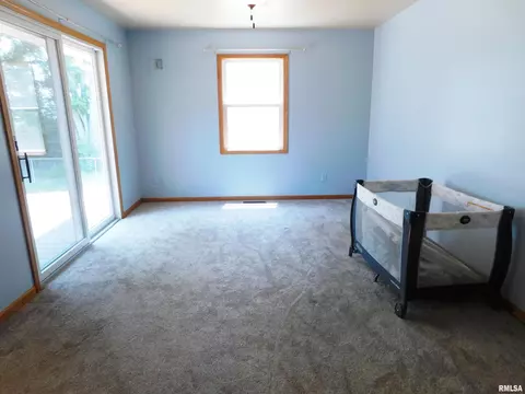 803 E 3rd St, Glasford, IL 61533 photo 21