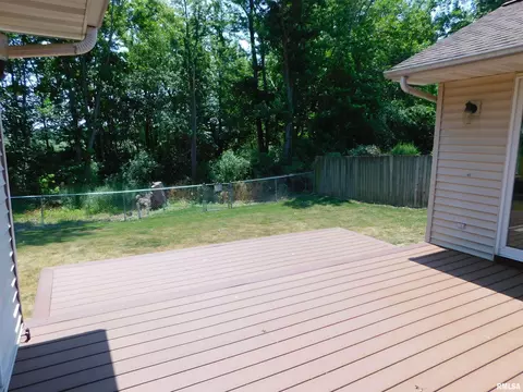 803 E 3rd St, Glasford, IL 61533 photo 41