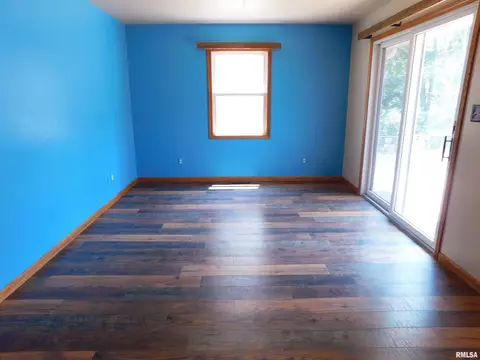 803 E 3rd St, Glasford, IL 61533 photo 29