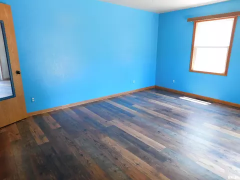 803 E 3rd St, Glasford, IL 61533 photo 30