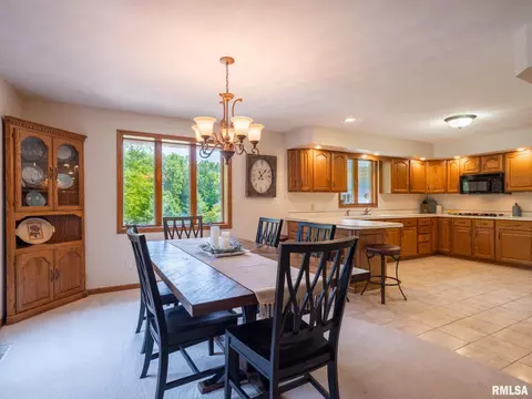 7645 W Chestnut Dr, Edwards, IL 61528 photo 23