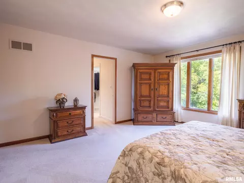7645 W Chestnut Dr, Edwards, IL 61528 photo 42