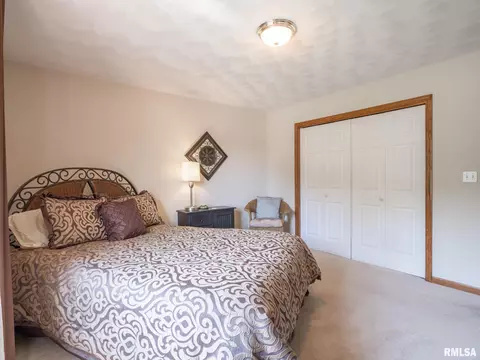 7645 W Chestnut Dr, Edwards, IL 61528 photo 37