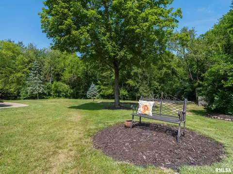 7645 W Chestnut Dr, Edwards, IL 61528 photo 76
