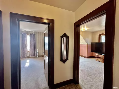 201 E Alder Rd, Canton, IL 61520 photo 33