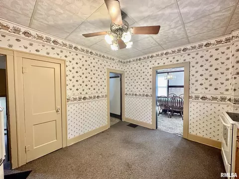 201 E Alder Rd, Canton, IL 61520 photo 21