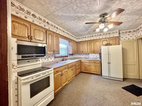 201 E Alder Rd, Canton, IL 61520 photo 20