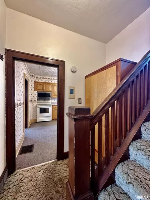 201 E Alder Rd, Canton, IL 61520 photo 26