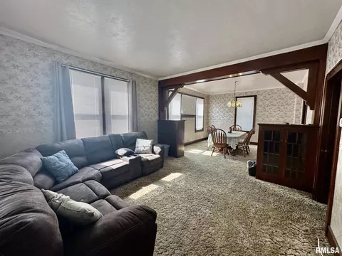 201 E Alder Rd, Canton, IL 61520 photo 5