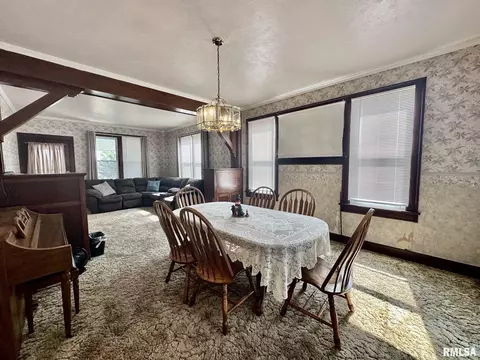 201 E Alder Rd, Canton, IL 61520 photo 16