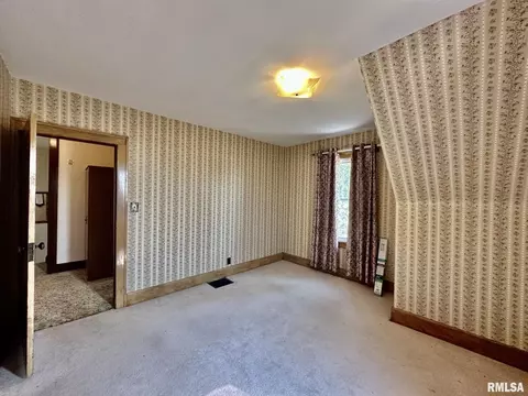 201 E Alder Rd, Canton, IL 61520 photo 38