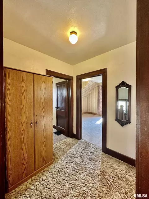 201 E Alder Rd, Canton, IL 61520 photo 45