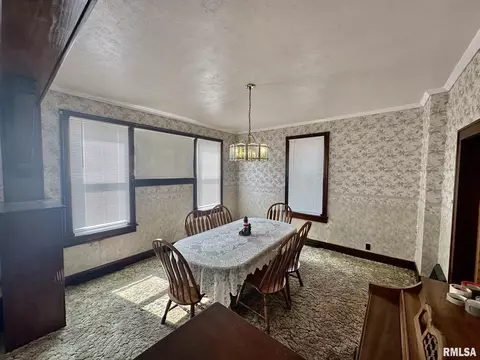 201 E Alder Rd, Canton, IL 61520 photo 14