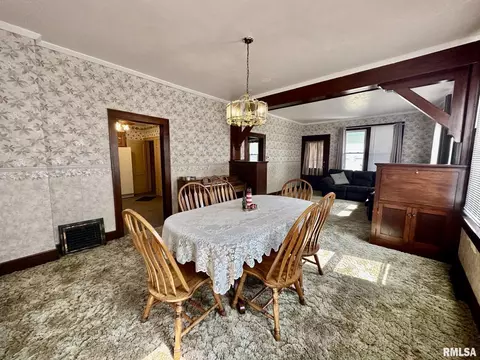 201 E Alder Rd, Canton, IL 61520 photo 12