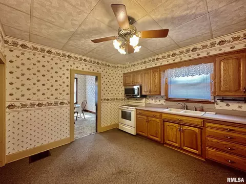 201 E Alder Rd, Canton, IL 61520 photo 18