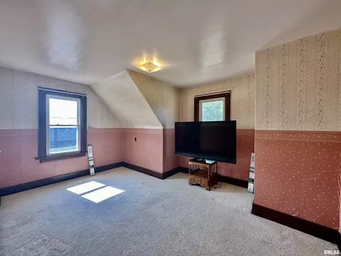 201 E Alder Rd, Canton, IL 61520 photo 47